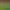 https://shared.akamai.steamstatic.com/store_item_assets/steam/apps/2400280/header.jpg?t=1738905415