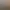 Pet Shop Simulator.