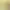Pet Shop Simulator.