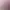 https://shared.akamai.steamstatic.com/store_item_assets/steam/apps/2401970/header.jpg?t=1747359314