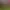 https://shared.akamai.steamstatic.com/store_item_assets/steam/apps/2406770/header.jpg?t=1733526616