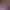 https://shared.akamai.steamstatic.com/store_item_assets/steam/apps/2409780/216a9823746d0ef6761aa797b89596fda11fc5b0/header_alt_assets_0.jpg?t=1749486130