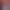 https://shared.akamai.steamstatic.com/store_item_assets/steam/apps/2409970/header.jpg?t=1682754505