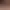 https://shared.akamai.steamstatic.com/store_item_assets/steam/apps/2411340/header.jpg?t=1734034968