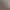 https://shared.akamai.steamstatic.com/store_item_assets/steam/apps/2411560/header.jpg?t=1746153874