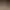 https://shared.akamai.steamstatic.com/store_item_assets/steam/apps/2413490/header.jpg?t=1730467642
