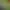 https://shared.akamai.steamstatic.com/store_item_assets/steam/apps/2414110/header.jpg?t=1729628853