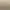 https://shared.akamai.steamstatic.com/store_item_assets/steam/apps/2415540/header.jpg?t=1741355637