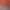 Yard Sale Simulator.