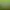 Yard Sale Simulator.
