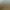 Yard Sale Simulator.
