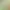 https://shared.akamai.steamstatic.com/store_item_assets/steam/apps/2417660/header.jpg?t=1708090430