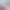 https://shared.akamai.steamstatic.com/store_item_assets/steam/apps/2418600/header.jpg?t=1746177560