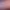 https://shared.akamai.steamstatic.com/store_item_assets/steam/apps/2420110/header.jpg?t=1749839261