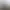 https://shared.akamai.steamstatic.com/store_item_assets/steam/apps/242050/header.jpg?t=1738250868