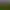 https://shared.akamai.steamstatic.com/store_item_assets/steam/apps/2421440/header.jpg?t=1750155166