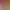 https://shared.akamai.steamstatic.com/store_item_assets/steam/apps/2426710/header.jpg?t=1721093505
