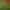 https://shared.akamai.steamstatic.com/store_item_assets/steam/apps/242680/header.jpg?t=1747943408