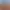 https://shared.akamai.steamstatic.com/store_item_assets/steam/apps/2427820/3c519f2959b74743e40c015a45796ae8731ba7b4/header.jpg?t=1750910571