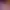 https://shared.akamai.steamstatic.com/store_item_assets/steam/apps/2427960/header.jpg?t=1739903878