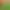 https://shared.akamai.steamstatic.com/store_item_assets/steam/apps/2429540/6959f3e4e1380fba6079df6565b7905032490f37/header.jpg?t=1746700557