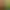 https://shared.akamai.steamstatic.com/store_item_assets/steam/apps/2431600/header.jpg?t=1699338957