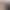 https://shared.akamai.steamstatic.com/store_item_assets/steam/apps/2433330/header.jpg?t=1741240333