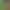 https://shared.akamai.steamstatic.com/store_item_assets/steam/apps/2438210/header.jpg?t=1726466424