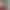 https://shared.akamai.steamstatic.com/store_item_assets/steam/apps/2442490/header.jpg?t=1694912916