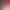 https://shared.akamai.steamstatic.com/store_item_assets/steam/apps/2444900/header.jpg?t=1702701413