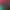 https://shared.akamai.steamstatic.com/store_item_assets/steam/apps/2445870/header.jpg?t=1699352737