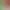 https://shared.akamai.steamstatic.com/store_item_assets/steam/apps/2453380/header.jpg?t=1720864490