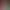 https://shared.akamai.steamstatic.com/store_item_assets/steam/apps/2453980/header.jpg?t=1750101762