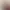 https://shared.akamai.steamstatic.com/store_item_assets/steam/apps/2457220/header.jpg?t=1744647242
