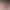 https://shared.akamai.steamstatic.com/store_item_assets/steam/apps/2458490/header.jpg?t=1739772909