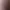 https://shared.akamai.steamstatic.com/store_item_assets/steam/apps/2459430/header.jpg?t=1744048228