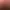 https://shared.akamai.steamstatic.com/store_item_assets/steam/apps/2462840/header.jpg?t=1745271018