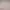 https://shared.akamai.steamstatic.com/store_item_assets/steam/apps/2469320/header.jpg?t=1707144843