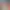 https://shared.akamai.steamstatic.com/store_item_assets/steam/apps/247020/header.jpg?t=1745434129