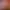 https://shared.akamai.steamstatic.com/store_item_assets/steam/apps/2478430/header.jpg?t=1713954052