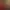 https://shared.akamai.steamstatic.com/store_item_assets/steam/apps/2481890/header.jpg?t=1689273477