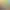 https://shared.akamai.steamstatic.com/store_item_assets/steam/apps/2484130/header.jpg?t=1750081914