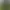Undead Wilderness: Survival.