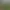 Undead Wilderness: Survival.