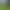 Undead Wilderness: Survival.