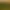https://shared.akamai.steamstatic.com/store_item_assets/steam/apps/2488510/header.jpg?t=1733234072