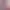 https://shared.akamai.steamstatic.com/store_item_assets/steam/apps/2490510/header.jpg?t=1723845602