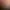 https://shared.akamai.steamstatic.com/store_item_assets/steam/apps/2496440/header.jpg?t=1734034980