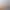 https://shared.akamai.steamstatic.com/store_item_assets/steam/apps/2497930/7a34f6fe67a1ecbca35a2dc635e12fafd4df7693/header.jpg?t=1748256623