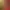 https://shared.akamai.steamstatic.com/store_item_assets/steam/apps/2498620/header.jpg?t=1746652284